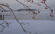 Stechlinsee im Winter, Foto: Michael Feierabend