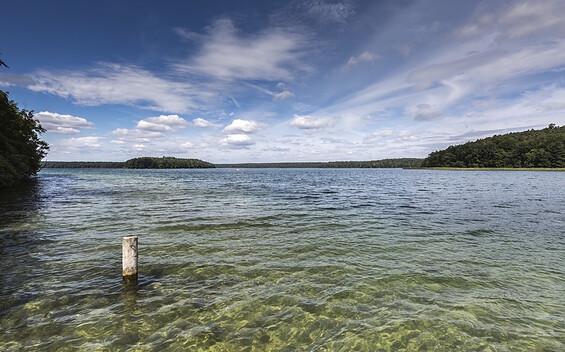Stechlinsee-Rundweg