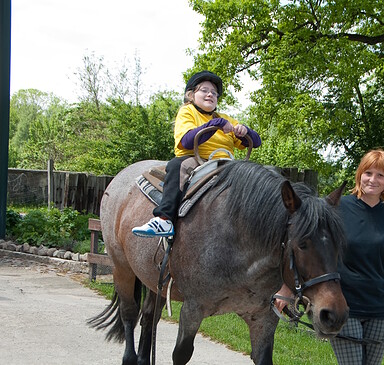 Grüneberg Farm - Riding School