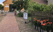 Foto: Walnussmeisterei, Lizenz: Walnussmeisterei