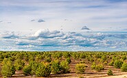 View over the heathland, Foto: Dr. Tilo Geisel, Lizenz: Dr. Tilo Geisel