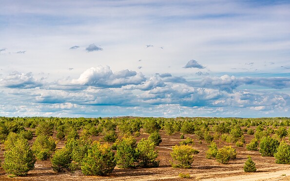 View over the heathland, Foto: Dr. Tilo Geisel, Lizenz: Dr. Tilo Geisel