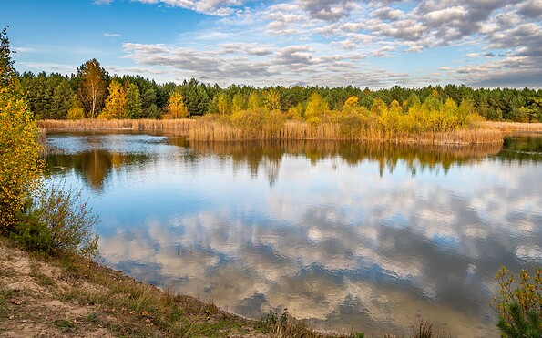 Pond at Frankenfelde, Foto: Dr. Tilo Geisel, Lizenz: Dr. Tilo Geisel