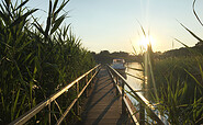 View to the Schulzensee, Foto: Dana Klaus, Lizenz:  Tourismusverband Dahme-Seenland e.V.