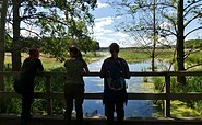 Blick auf den Pfeffergraben, Foto: Elisa Kallenbach, Lizenz: Naturparkverwaltung Nuthe-Nieplitz
