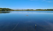 Riebener See, Foto: Corinna Zick, Lizenz: Naturwacht Brandenburg