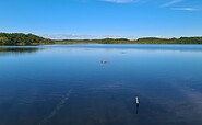 Riebener See, Foto: Corinna Zick, Lizenz: Naturwacht Brandenburg
