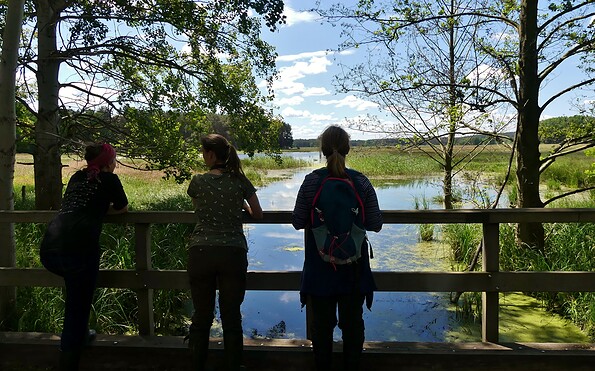 View of the Pfeffergraben, Foto: Elisa Kallenbach, Lizenz: Naturparkverwaltung Nuthe-Nieplitz