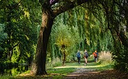 Weg an der Nieplitz, Foto: Marie Konrad, Lizenz: Naturparkverwaltung Nuthe-Nieplitz