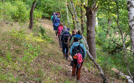 Wildnistour von Pechüle nach Frankenförde