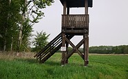 Observation tower in wilderness area, Foto: Dr. Tilo Geisel
