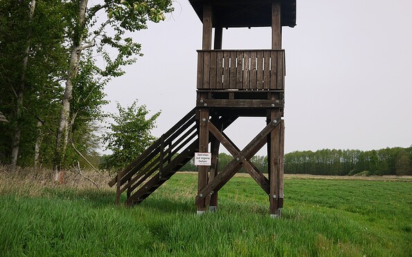 Observation tower in wilderness area, Foto: Dr. Tilo Geisel