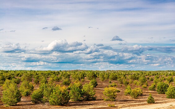 View of the wilderness area, Foto: Dr. Tilo Geisel