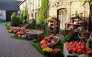 Farm store in Bardenitz, Foto: Kerstin Bosse