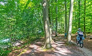 Rund um den Werbellinsee, Wildau Radweg, Foto: Torsten Stapel, Lizenz: Gemeinde Schorfheide
