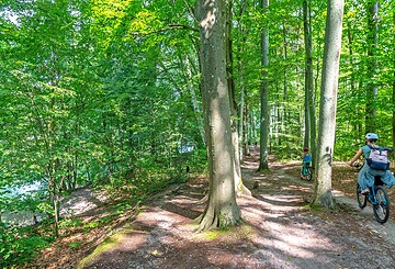 Rund um den Werbellinsee