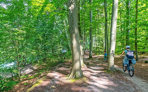 Rund um den Werbellinsee