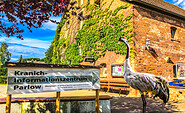 Speicher Parlow, Foto: Förderverein Kranichdorf Parlow e.V., Lizenz: Förderverein Kranichdorf Parlow e.V.