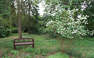 Park, Foto: Helmkes Hof GbR, Lizenz: Helmkes Hof GbR