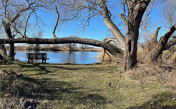 Kanurastplatz Döberitz-Gohlitz, Foto: Claudia Hesse, Lizenz: Naturpark Westhavelland