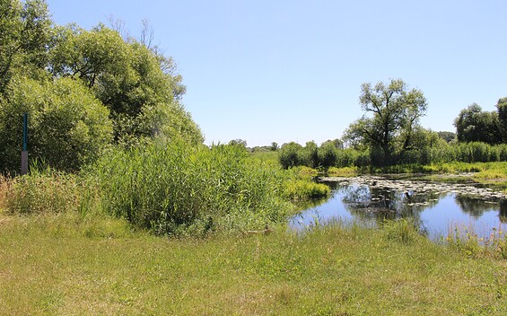 Kanurastplatz Heiningsweg, Foto: Claudia Hesse, Lizenz: Naturpark Westhavelland