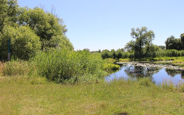Kanurastplatz Heiningsweg, Foto: Claudia Hesse, Lizenz: Naturpark Westhavelland