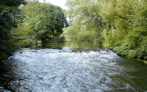 Spreeaue bei Neuhausen, Foto: Gemeinde Neuhausen/Spree, Lizenz: Gemeinde Neuhausen/Spree