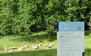 Ottoquelle, Foto: Kati Bork, Lizenz: Tourismusverband Prignitz e.V.