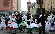 Zapust Umzug des Wendischen Museums (Foto: Werner Meschkank)