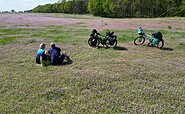 Heathland between Gransee and Oranienburg, Foto: Thomas Widerin, Lizenz: Thomas Widerin