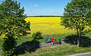 Rape fields between Gransee and Oranienburg, Foto: Thomas Widerin, Lizenz: Thomas Widerin