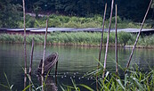 Fischernetz, Foto: Yorck Maecke, Lizenz: TMB