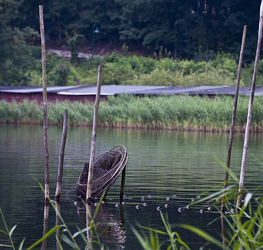 Zippelsförde Fish Farm