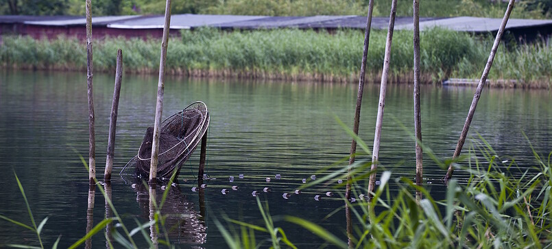 Zippelsförde Fish Farm