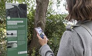 Informationspfad entlang des ehemaligen Grenzverlaufs in Potsdam, Foto: Sophie Soike, Lizenz: PMSG