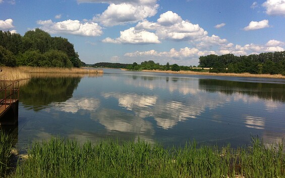 Friedländer ponds, Foto: Ellen Rußig, Lizenz: Seenland Oder-Spree