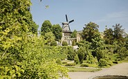 Historische Mühle von Sanssouci - Blick vom Park Sanssouci, Foto: Julia Nimke, Lizenz: PMSG SPSG