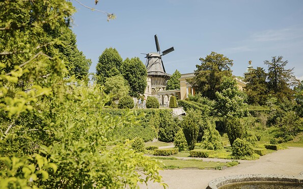 Historische Mühle von Sanssouci - Blick vom Park Sanssouci, Foto: Julia Nimke, Lizenz: PMSG SPSG