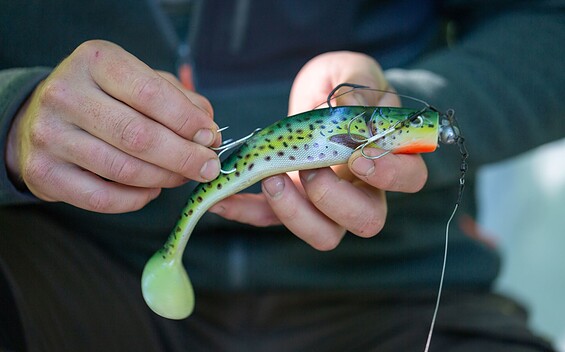 Pike bait, rubber, Foto: Florian Läufer, Lizenz: Seenland Oder-Spree