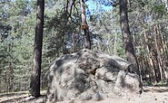 Teufelsstein, Foto: Besucherinformation Amt Neuzelle