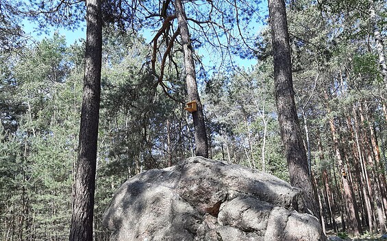 Teufelsstein, Foto: Besucherinformation Amt Neuzelle