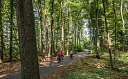Radfahrer im Wald, Foto: Szymon Nitka, Lizenz: TMB