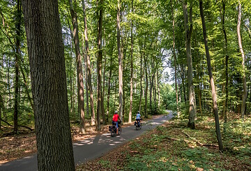 Radfahrer im Wald, Foto: Szymon Nitka, Lizenz: TMB