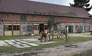 Pferdespaß, Foto: Steffen Lehmann, Lizenz: TMB-Fotoarchiv