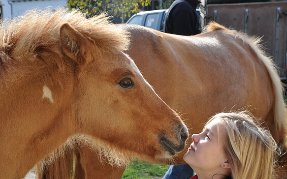 Reiturlaub auf dem Rüsterhof, Foto: Elke Melchert, Lizenz: Rüsterhof