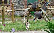 Tiere auf dem Rüsterhof, Foto: Yvonne Bleeck, Lizenz: Tourismus Marketing Brandenburg GmbH