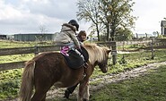 Voltigierübungen auf dem Islandpferd, Foto: Steffen Lehmann, Lizenz: Tourismus Marketing Brandenburg GmbH