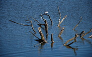 Circular trail Großer Treppelsee, Foto: Constanze Mikeska