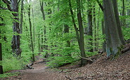 Circular trail Großer Treppelsee, Foto: Constanze Mikeska