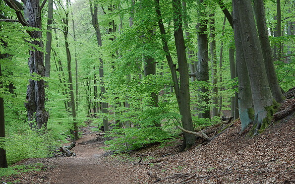 Circular trail Großer Treppelsee, Foto: Constanze Mikeska